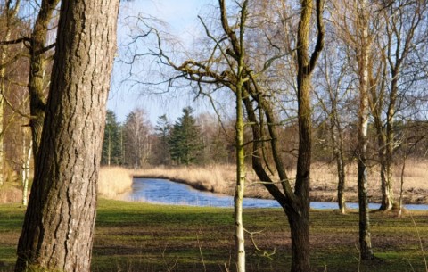 Billede 4
