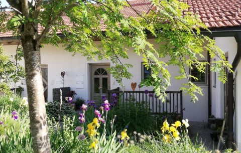 Bild 4