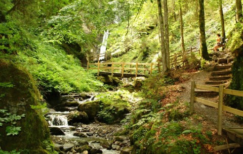 Billede 3