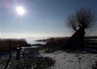 Objekt Nr.: 530-773296