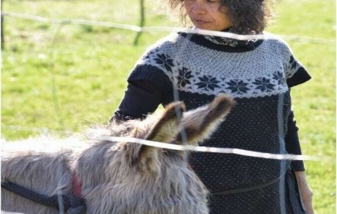 Bild 2