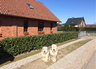 Objekt Nr.: 305-DE9318.604.1