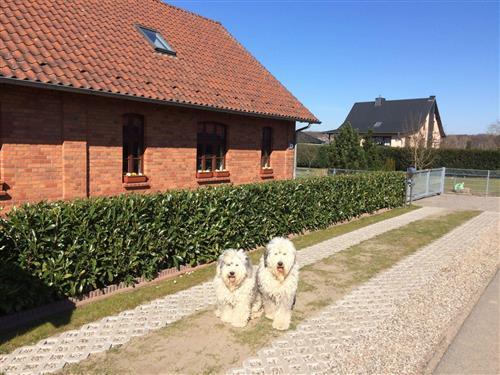 Objekt Nr.: 305-DE9318.604.1