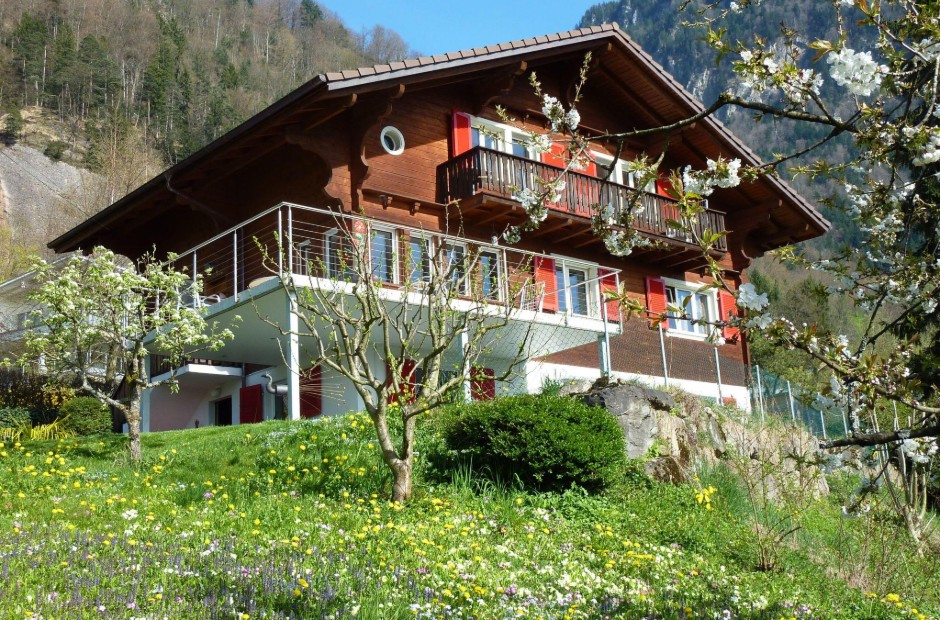 Bild 1