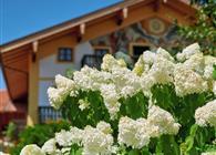 Objekt Nr.: 530-198207