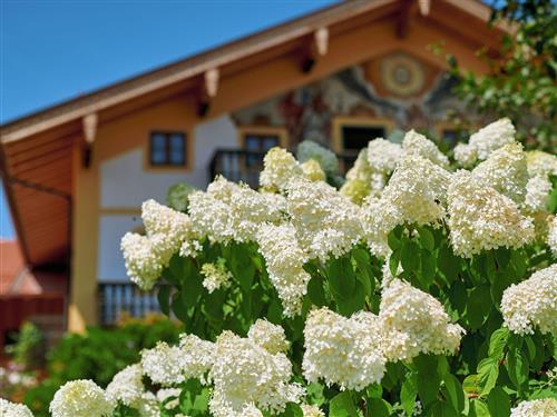 Objekt Nr.: 530-198207