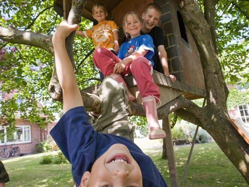 Objekt Nr.: 512-2679450