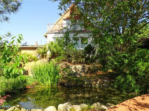 Objekt Nr.: 136-DMV440