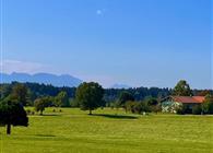 Objekt Nr.: 530-137078