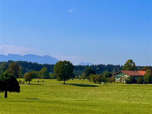 Objekt Nr.: 530-137078