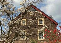 Objekt Nr.: 530-155858