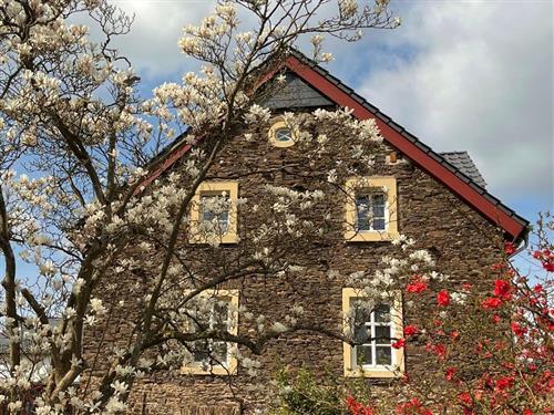 Objekt Nr.: 530-155858