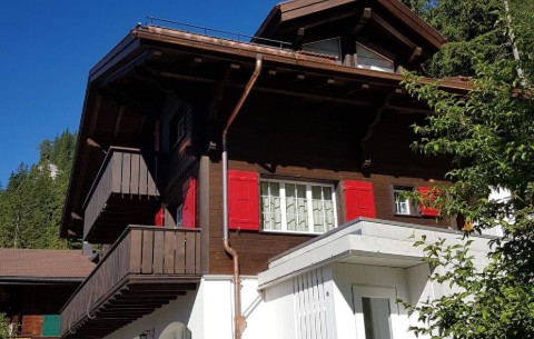 Bild 4