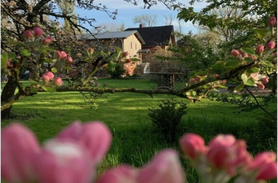 Billede 1