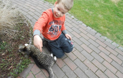 Bild 2