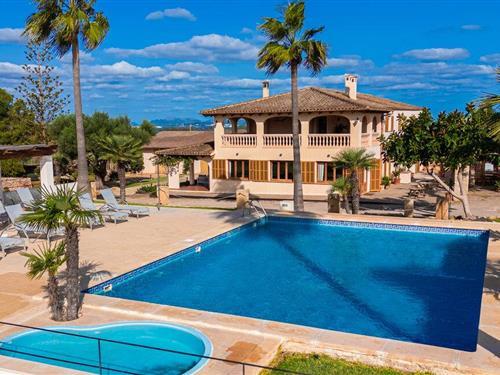 Objekt Nr.: 147-EMI364