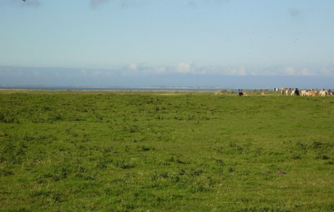 Billede 4