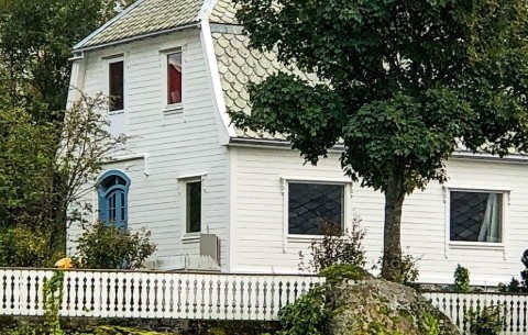 Image 4