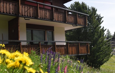 Bild 4