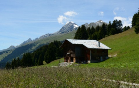 Bild 2