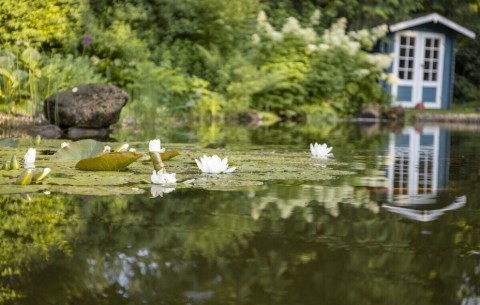 Billede 3