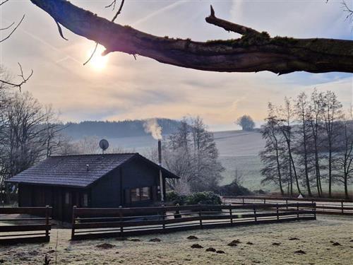 Objekt Nr.: 530-831696