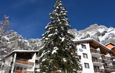 Bild 3