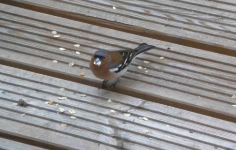 Bild 4