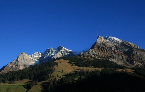 Billede 4