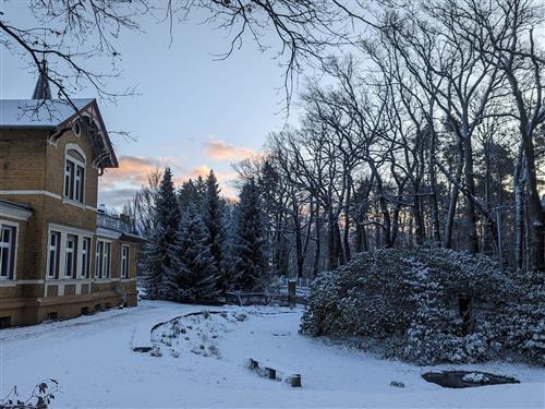 Objekt Nr.: 530-597843