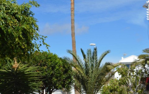 Billede 2
