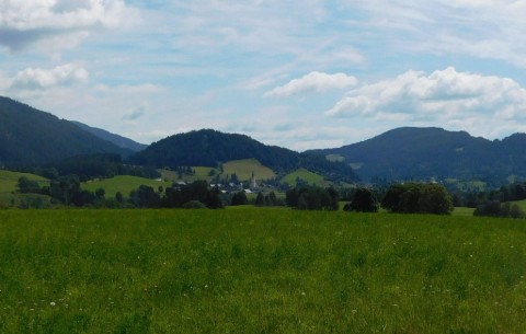 Billede 4