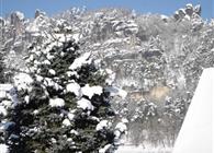 Objekt Nr.: 530-194556