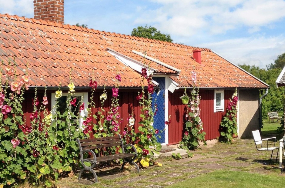 Billede 1