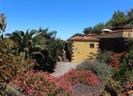 Objekt Nr.: 535-600714