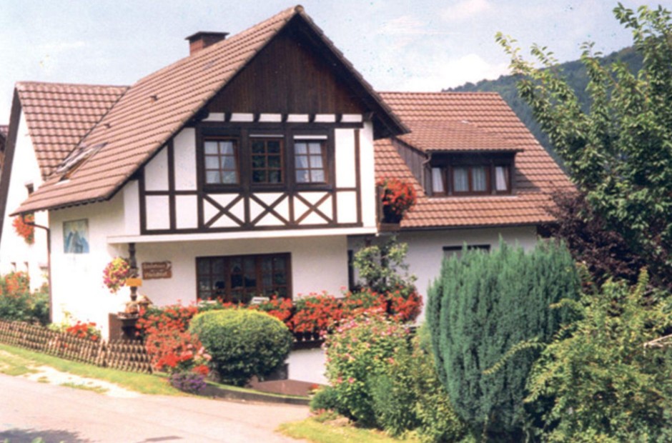Billede 1