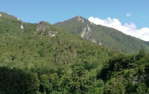 Billede 4