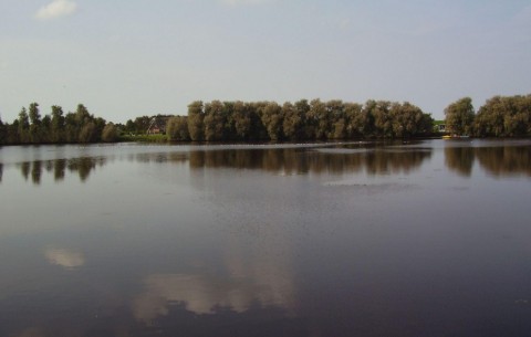 Billede 4