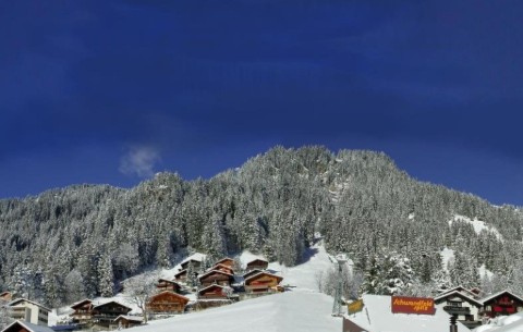 Bild 4