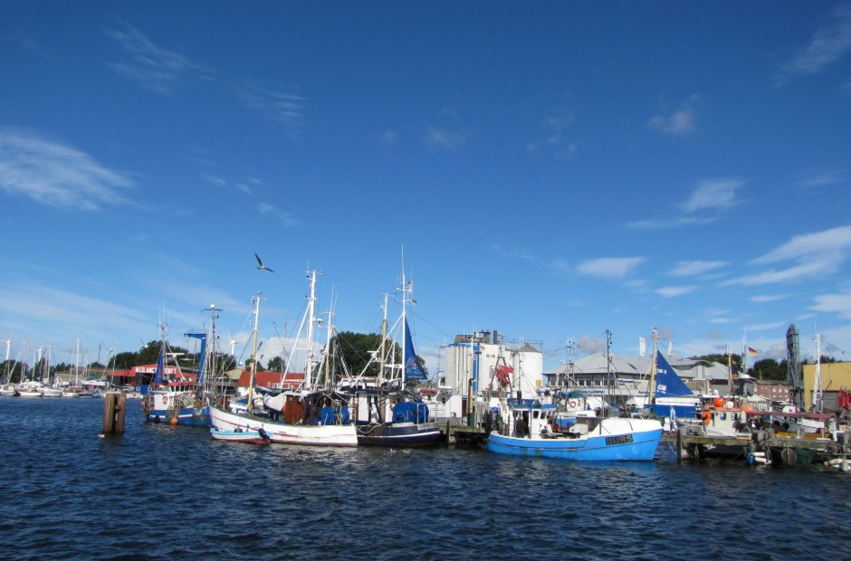 Billede 1