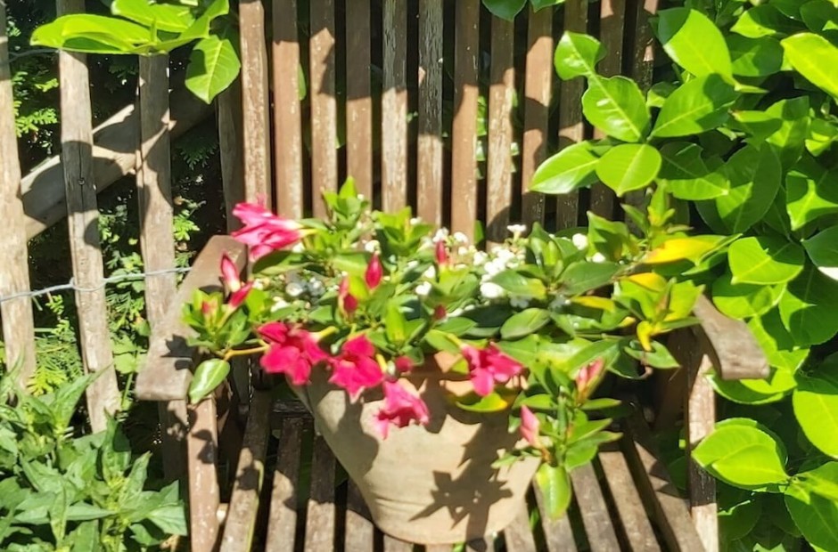 Billede 1