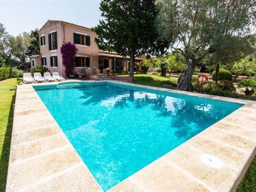 Objekt Nr.: 526-2875475