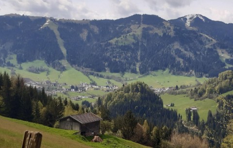 Image 4