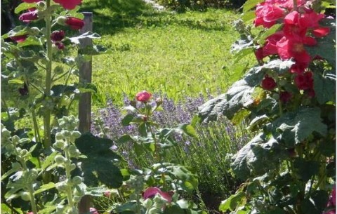 Bild 4