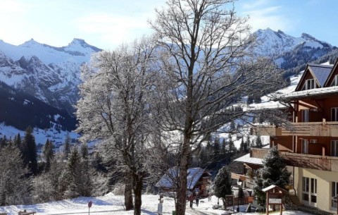 Bild 4