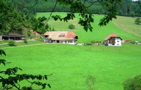 Billede 4