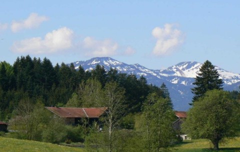 Billede 4