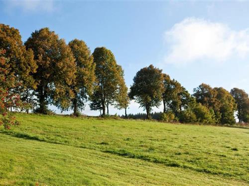 Objekt Nr.: 354-DE-59955-5442