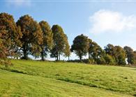 Objekt Nr.: 354-DE-59955-5442