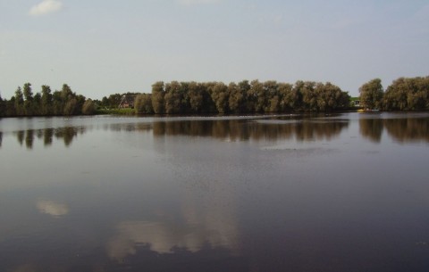 Billede 4
